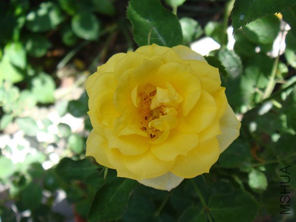 DSC02871.JPG