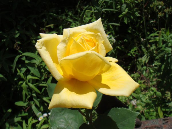 DSC02863.JPG