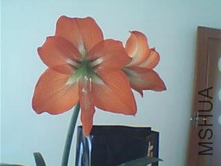 ͼƬ 055.jpg