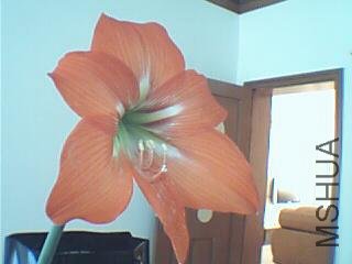 ͼƬ 056.jpg