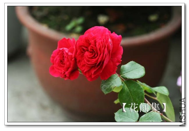 IMG_5146 ����.jpg