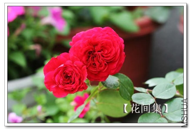 IMG_5144 ����.jpg