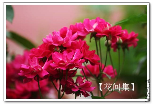 IMG_5177 ����.jpg