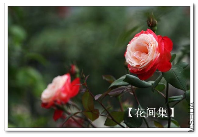 IMG_5191 ����.jpg