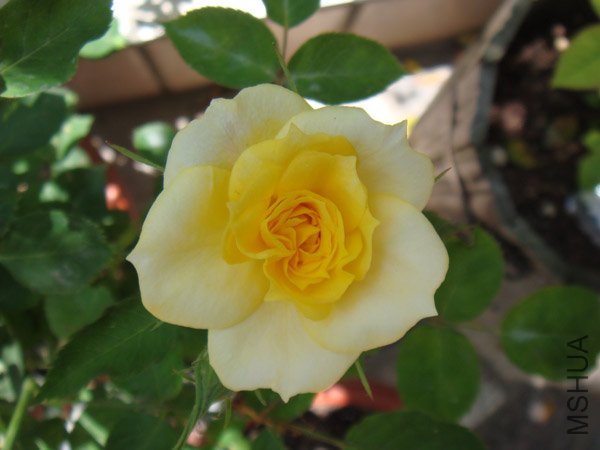 DSC02888.JPG