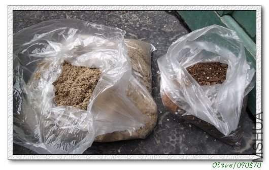 ������ھӼ�˳���ĺ��࣬�ұ����������������Ĵ��Ļ���