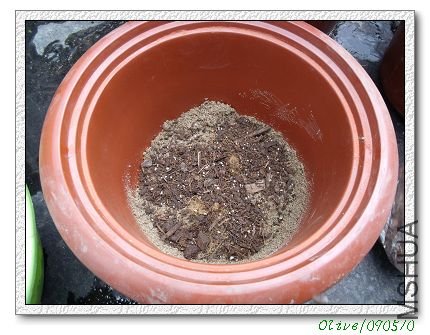 �ڶ���Ȼ��ɳ�Ϸ������ɵ���������