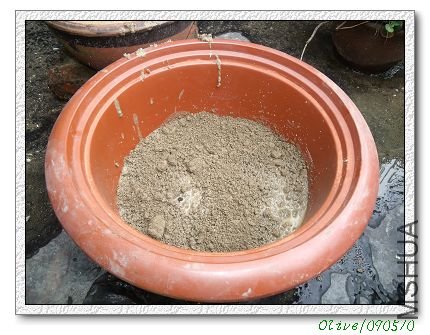 ���������������ϸ���԰���࣬����ˮ��