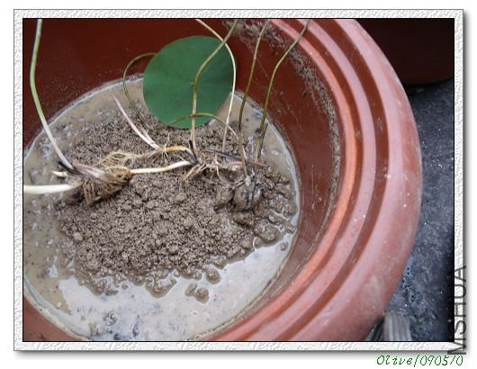 ����С���߰ɣ�����������߹��������°���