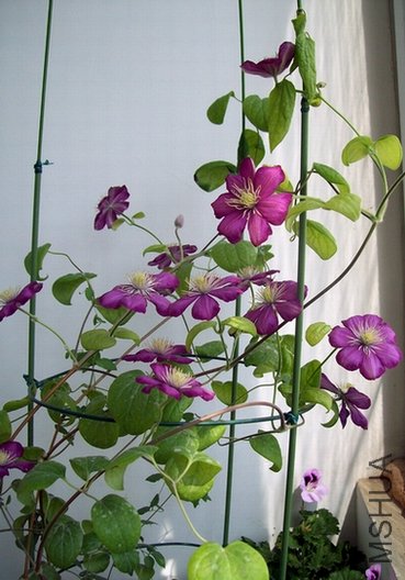 100_1284.jpg
