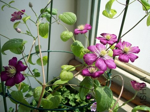 100_1272.jpg