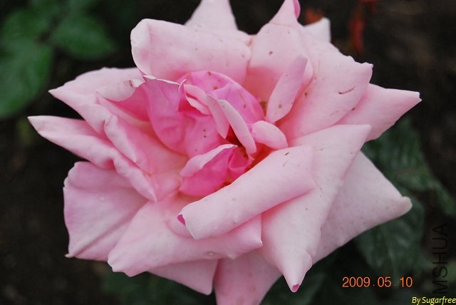DSC_0211.jpg