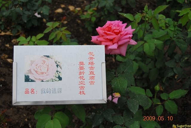 �治֪������ʲô������
