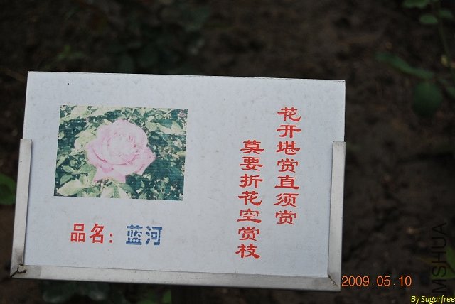 DSC_0221.jpg