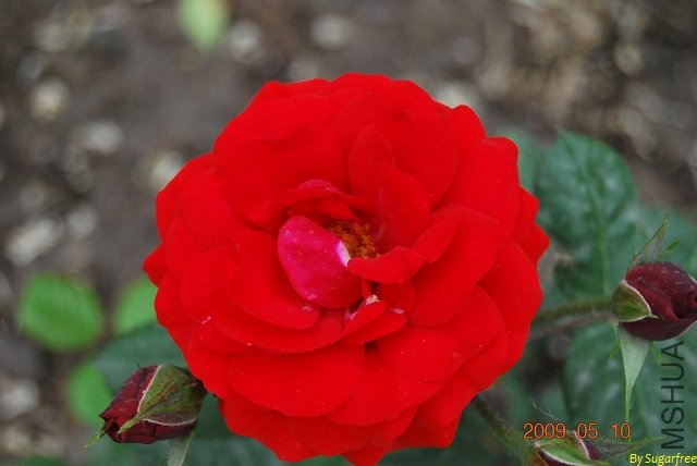DSC_0186.jpg