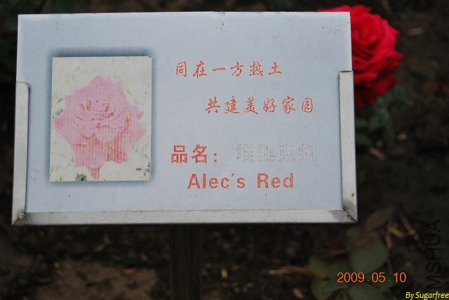 DSC_0217.jpg