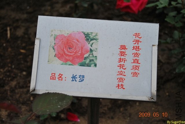 DSC_0219.jpg