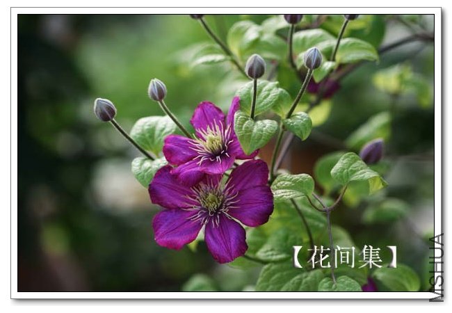 IMG_5359 ����.jpg