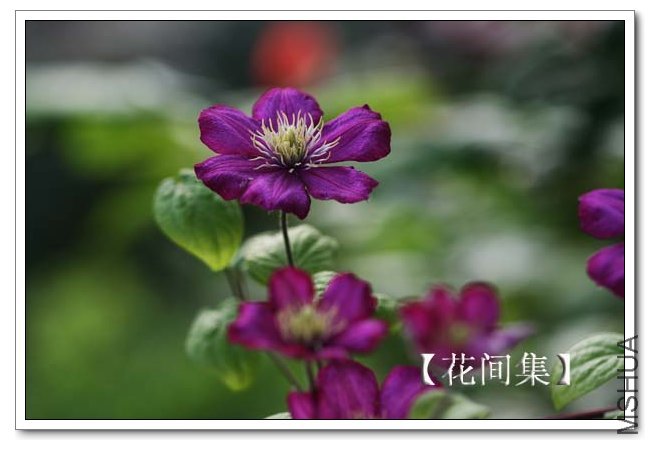 IMG_5360 ����.jpg