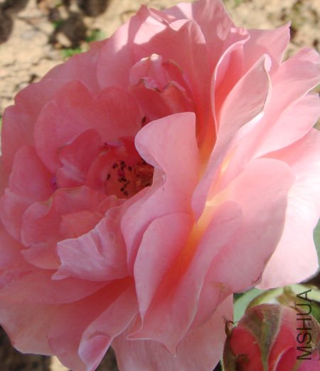 ��ͨ�������ᣬ����ͦ��