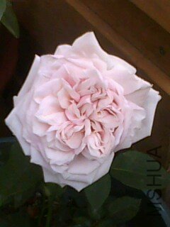 IMG0128A.jpg