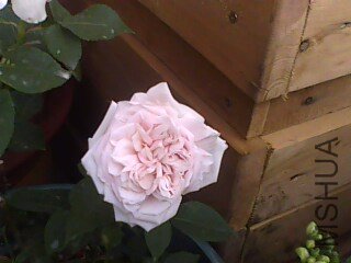 IMG0129A.jpg