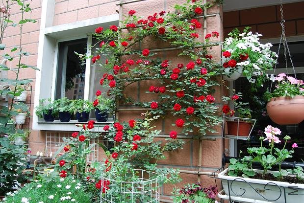 ��Ҫ����������Ӫ