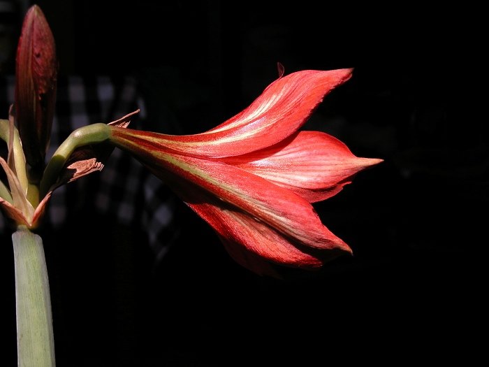 DSCN0033.jpg
