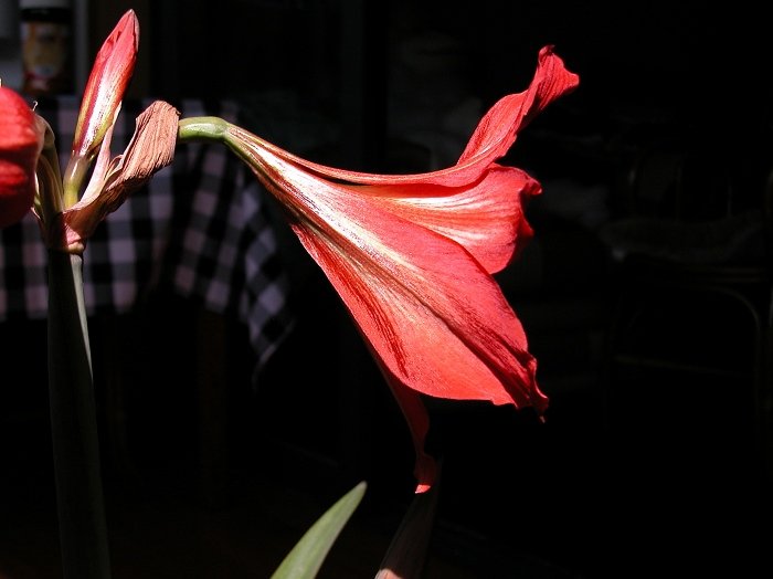 DSCN0035.jpg