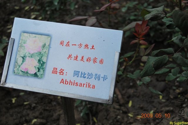 �᲻����������ְ����Ǻ�