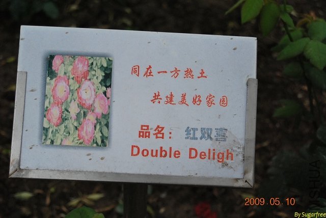 DSC_0277.jpg