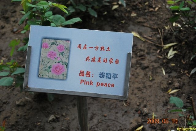 DSC_0283.jpg