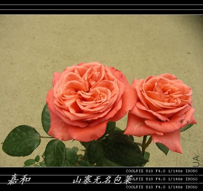 090304 827.jpg