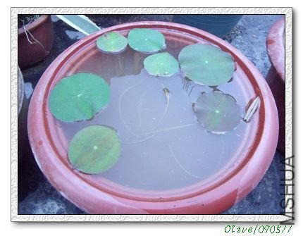 3�裨1�ã��·��裩