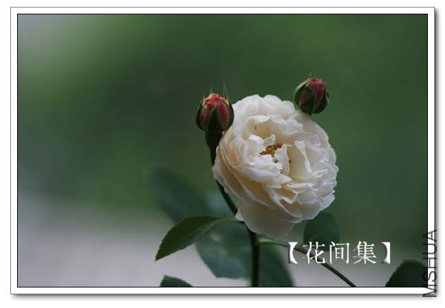 IMG_5402 ����.jpg