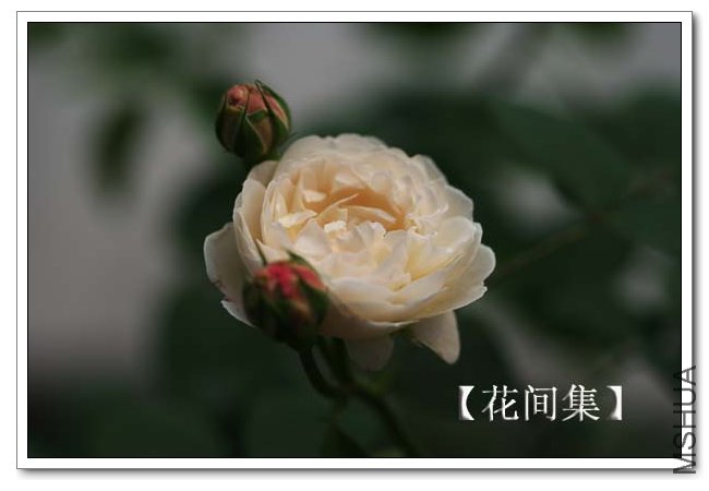 IMG_5382 ����.jpg