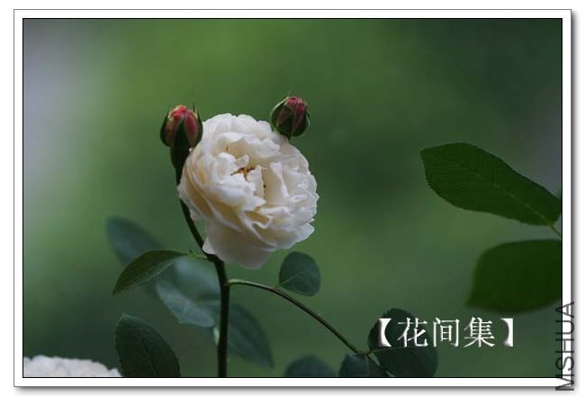 IMG_5400 ����.jpg