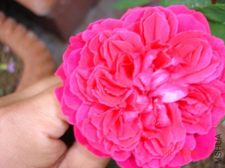 ��Ƭ09416 085.jpg