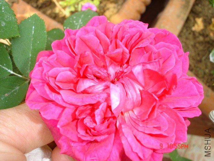 ��Ƭ09416 102.jpg