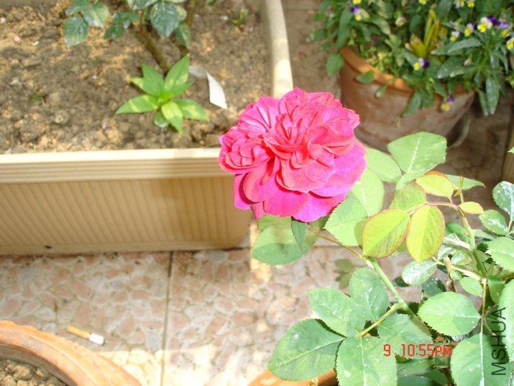 ��Ƭ09416 099.jpg