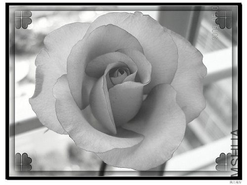 20090512002.jpg