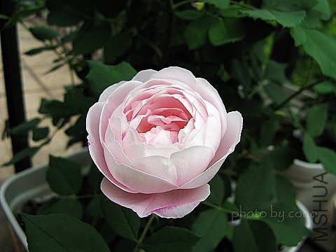 nEO_IMG_IMG_1028.jpg