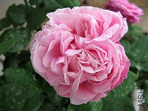nEO_IMG_IMG_1032.jpg