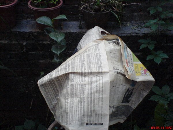 ��ֽ...������̫��....