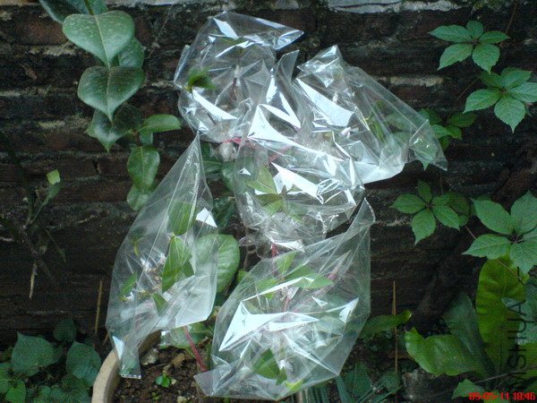 ���м���ѿ������..�϶��Ӳ�����..