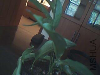 ͼƬ 064.jpg