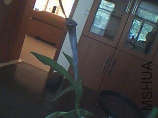 ͼƬ 065.jpg