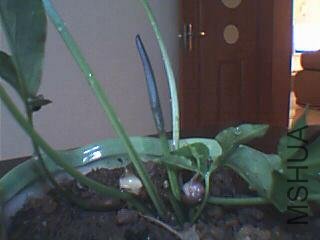 ͼƬ 060.jpg