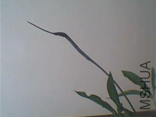 ͼƬ 061.jpg