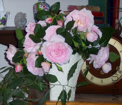 100_7214.JPG
